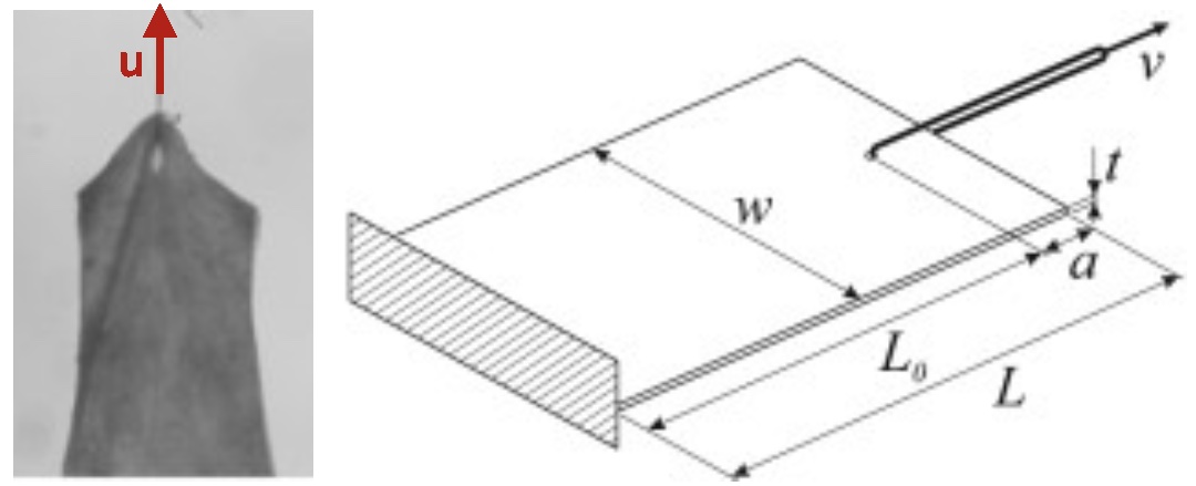 Publication thumbnail
